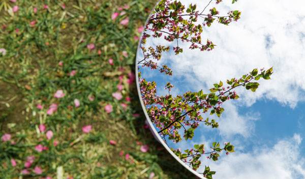 Des miroirs dans votre déco de jardin pour refléter toute sa beauté en trompe-l’œil !