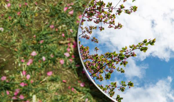 Des miroirs dans votre déco de jardin pour refléter toute sa beauté en trompe-l’œil !