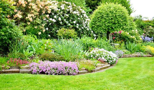 Massif fleuri au cœur de l’été - © Pia-Pictures – stockadobe.com
