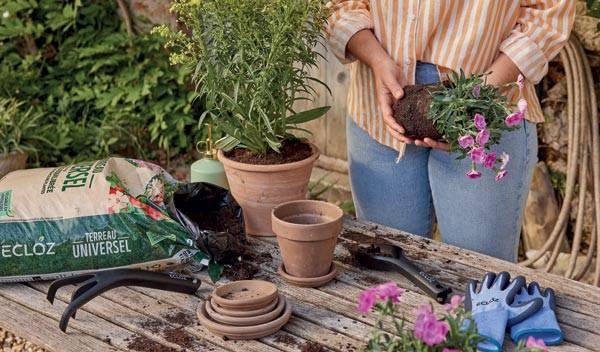 Quel terreau choisir pour rempoter ses plantes