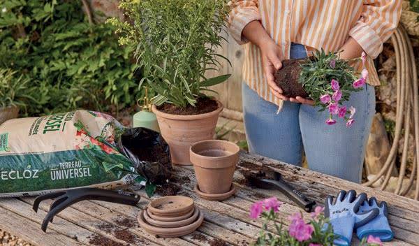 Quel terreau choisir pour rempoter ses plantes