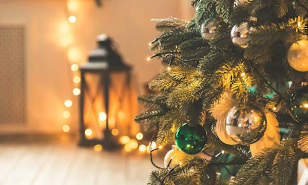 3 astuces pour conserver son sapin de Noël le plus longtemps possible