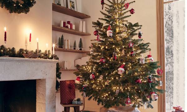Quand acheter un sapin de Noël naturel ?
