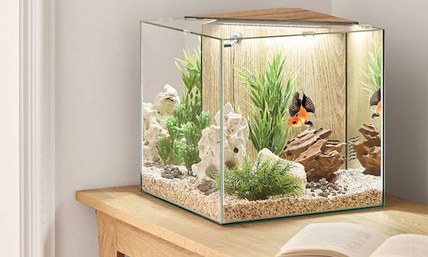 Comment choisir son aquarium ? - Aquarium Stella Pure Family