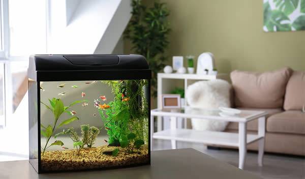 Aquarium
