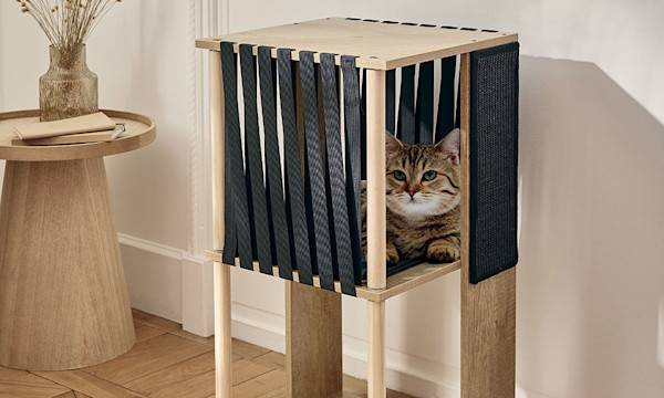 Comment nettoyer un arbre à chat ?