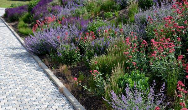 Quelles sont les techniques pour poser des bordures de jardin sur un terrain en pente ?