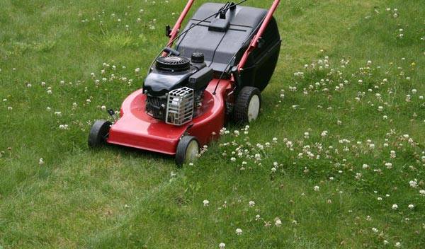 Tondeuse à gazon : quelle largeur de coupe choisir ? 