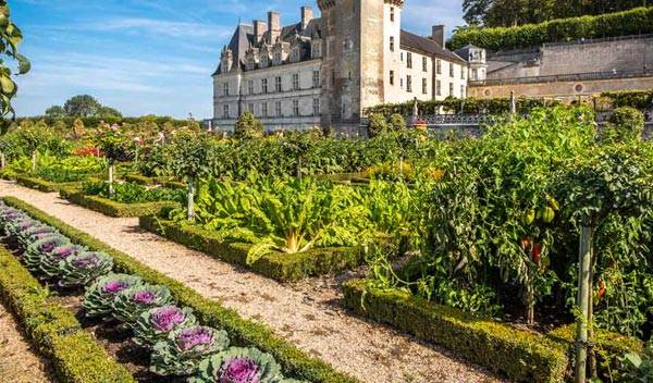 Les plus beaux jardins potagers de France