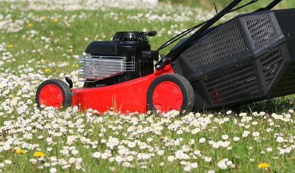 Comment bien entretenir sa tondeuse thermique ? 