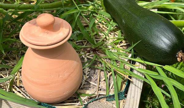 Comment réussir l'arrosage de ses plantes avec des oyas ?