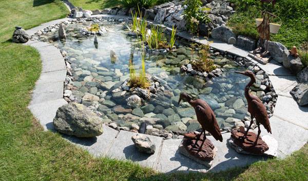 14 idées d'aménagements autour d’un bassin préformé