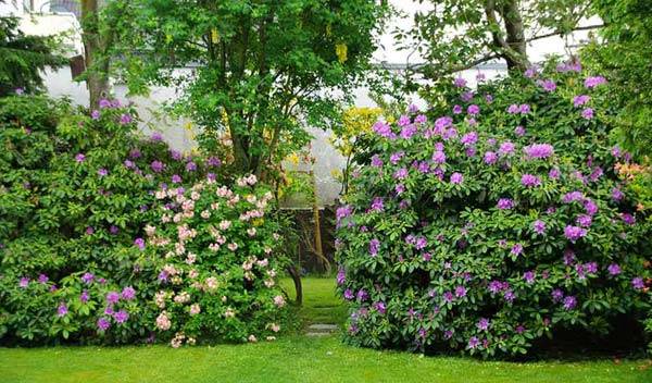 Décoration de jardin : comment décorer un gazon ?