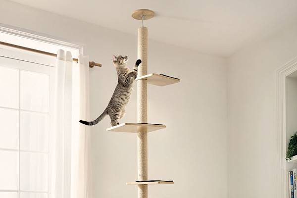 Comment stabiliser un arbre à chat ?