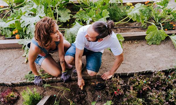 5 bonnes résolutions à prendre pour votre jardin 