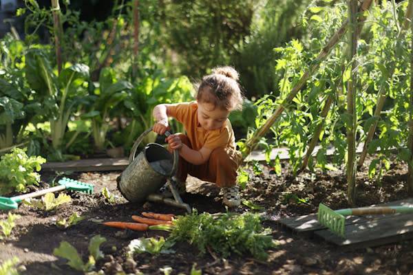 Comment préparer son potager avant de partir en vacances ?