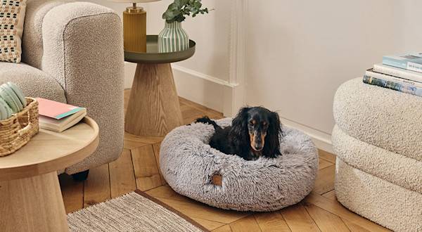 Comment nettoyer un panier pour chien
