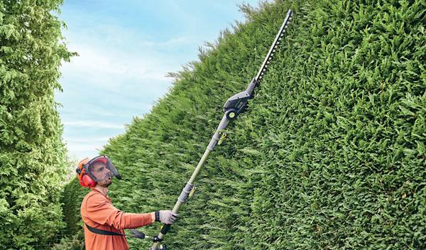 Comparatif : quel taille-haie choisir pour son jardin ?