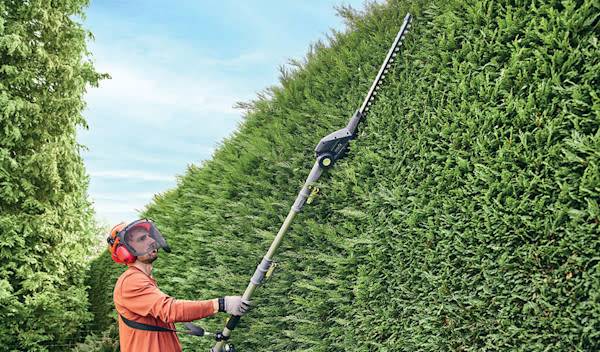 Comparatif : quel taille-haie choisir pour son jardin ?