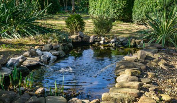 Comment traiter son bassin de jardin quand il fait chaud ?