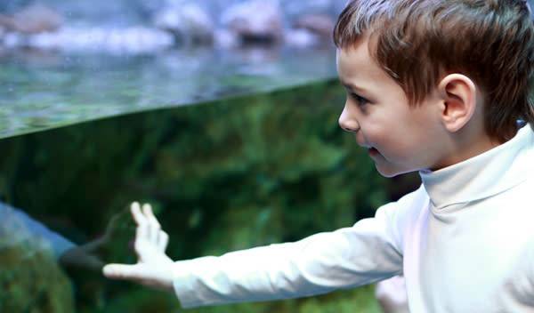 Aquarium pour enfant