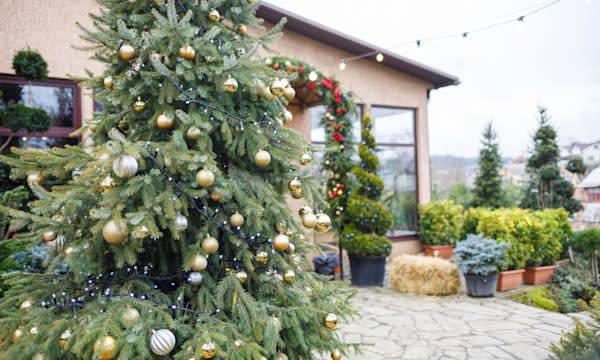 Comment décorer un sapin de Noël en extérieur ?