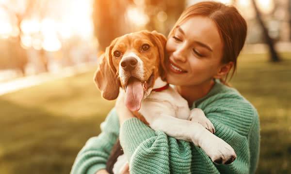Comment occuper son chien pendant son absence