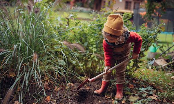 Que planter en automne ?