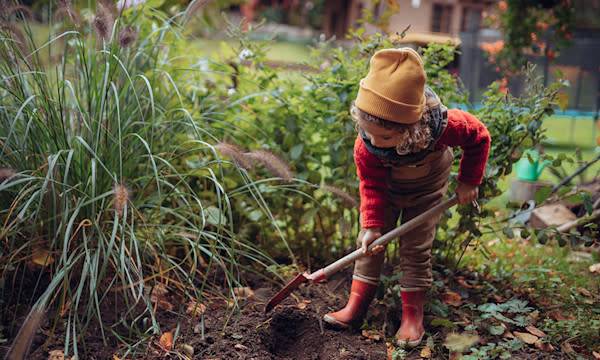 Que planter en automne ?