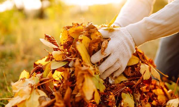 Comment préparer le jardin à l’hiver ?