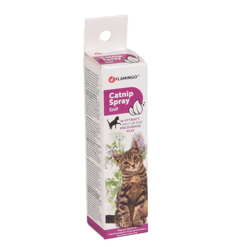 Catnip en spray de 25 ml pour votre chat - Image 1