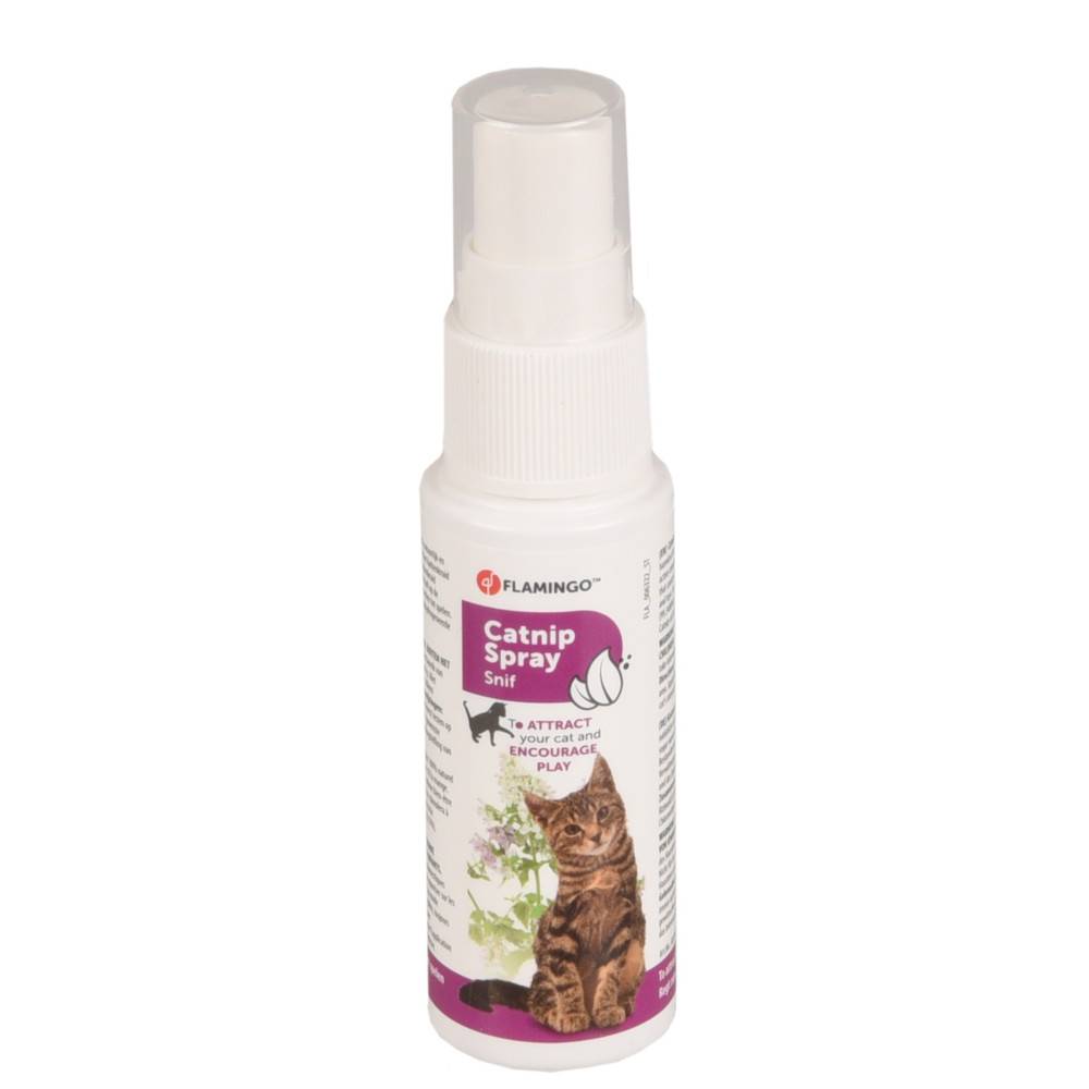 Catnip en spray de 25 ml pour votre chat - Image 2