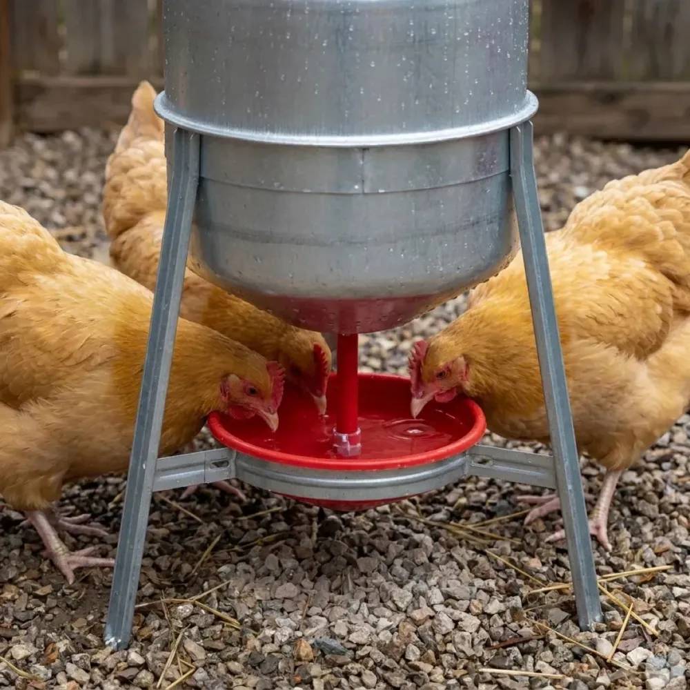 Lot de 2 Abreuvoirs poules et volailles métal galvanisé 30 L sur pieds - Image 5