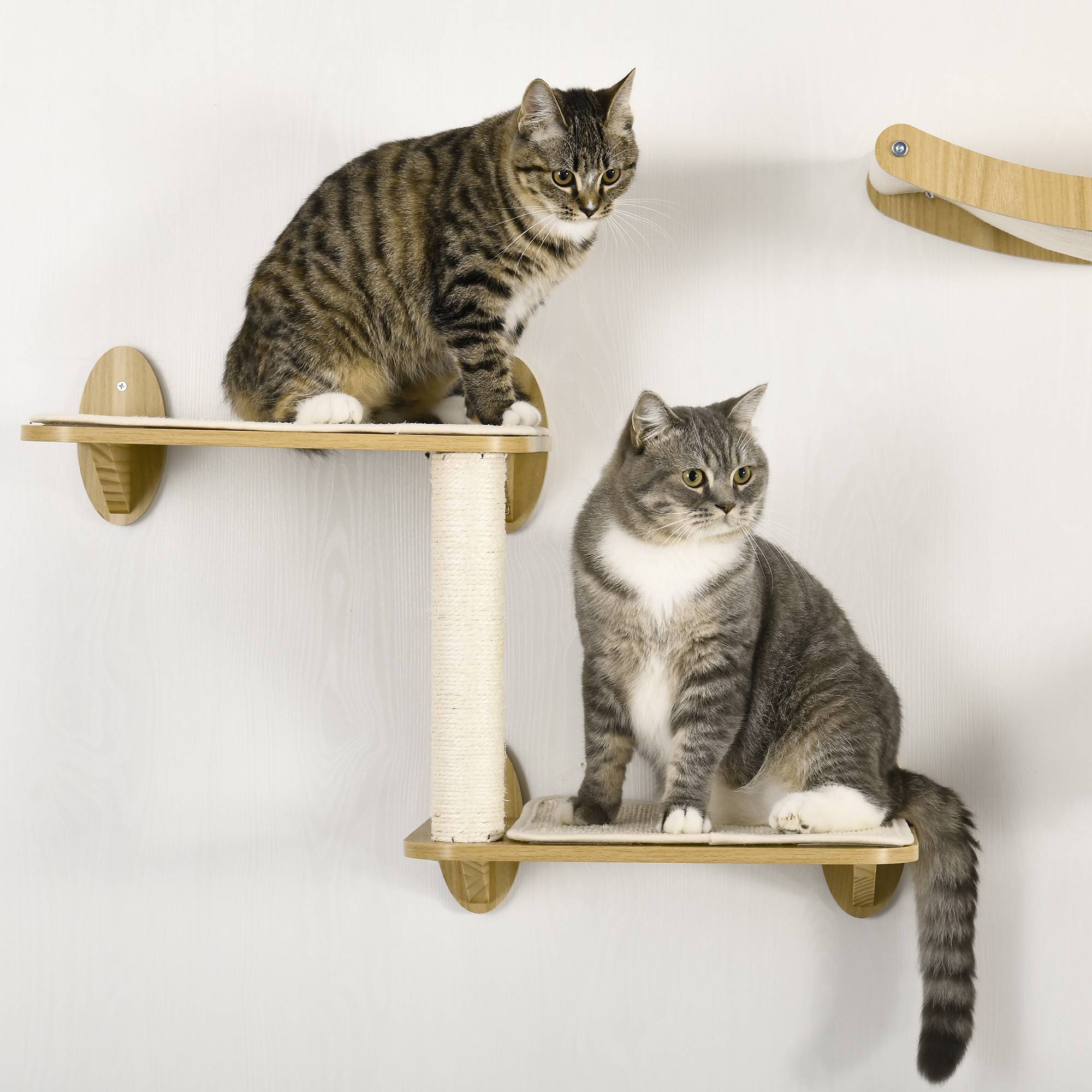 Parcours Mural pour Chat 3 Pièces en Bois avec Lit Hamac et Poteau Griffoir Sisal Couleur Chêne - ComfortXL Outdoor Living - Image 10