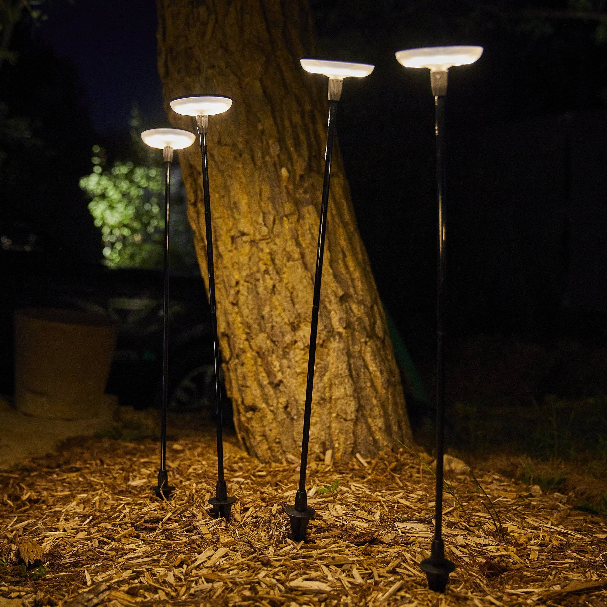 Lumisky - Lot de 4 balises solaires à piquer LUCENTY Noir Plastique H76CM - Imagen 3