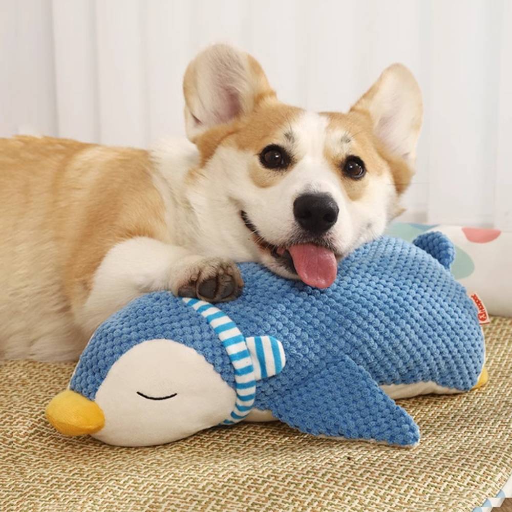 IntiMeg - Jouet pour chien en forme de pingouin - IntiMeg - Image 6