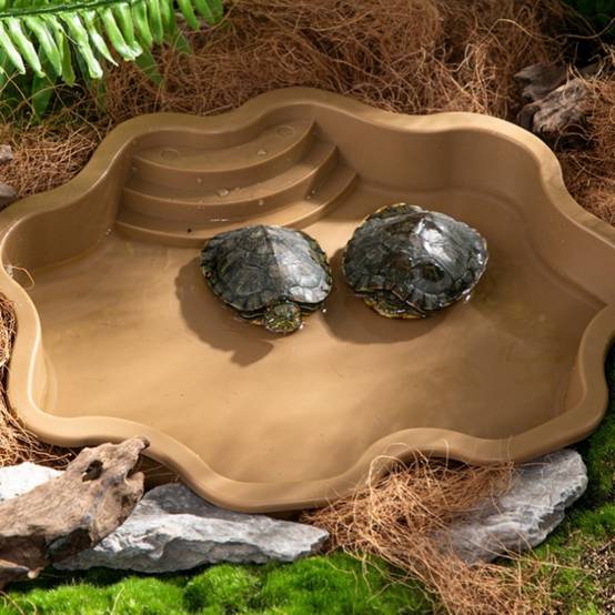 Baignoire et bac d'alimentation pour reptiles aquatiques et grimpants DtopbuyAge - Image 3
