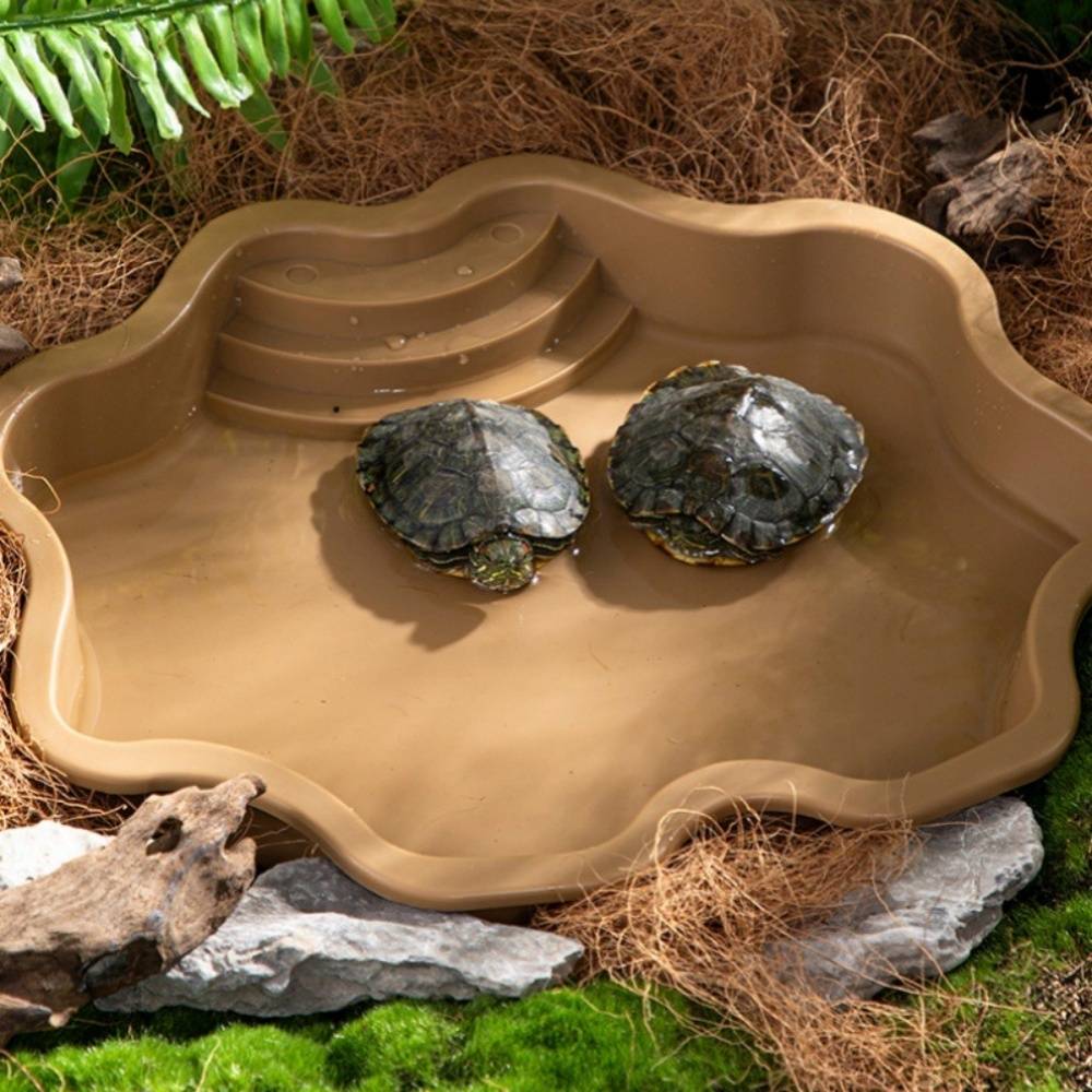 Baignoire et bac d'alimentation pour reptiles aquatiques et grimpants DtopbuyAge - Image 3