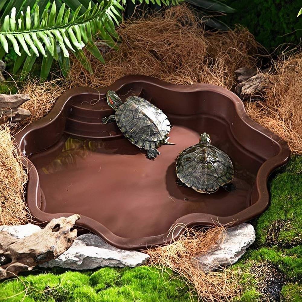 Baignoire et bac d'alimentation pour reptiles aquatiques et grimpants DtopbuyAge - Image 1