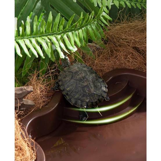 Baignoire et bac d'alimentation pour reptiles aquatiques et grimpants DtopbuyAge - Image 2