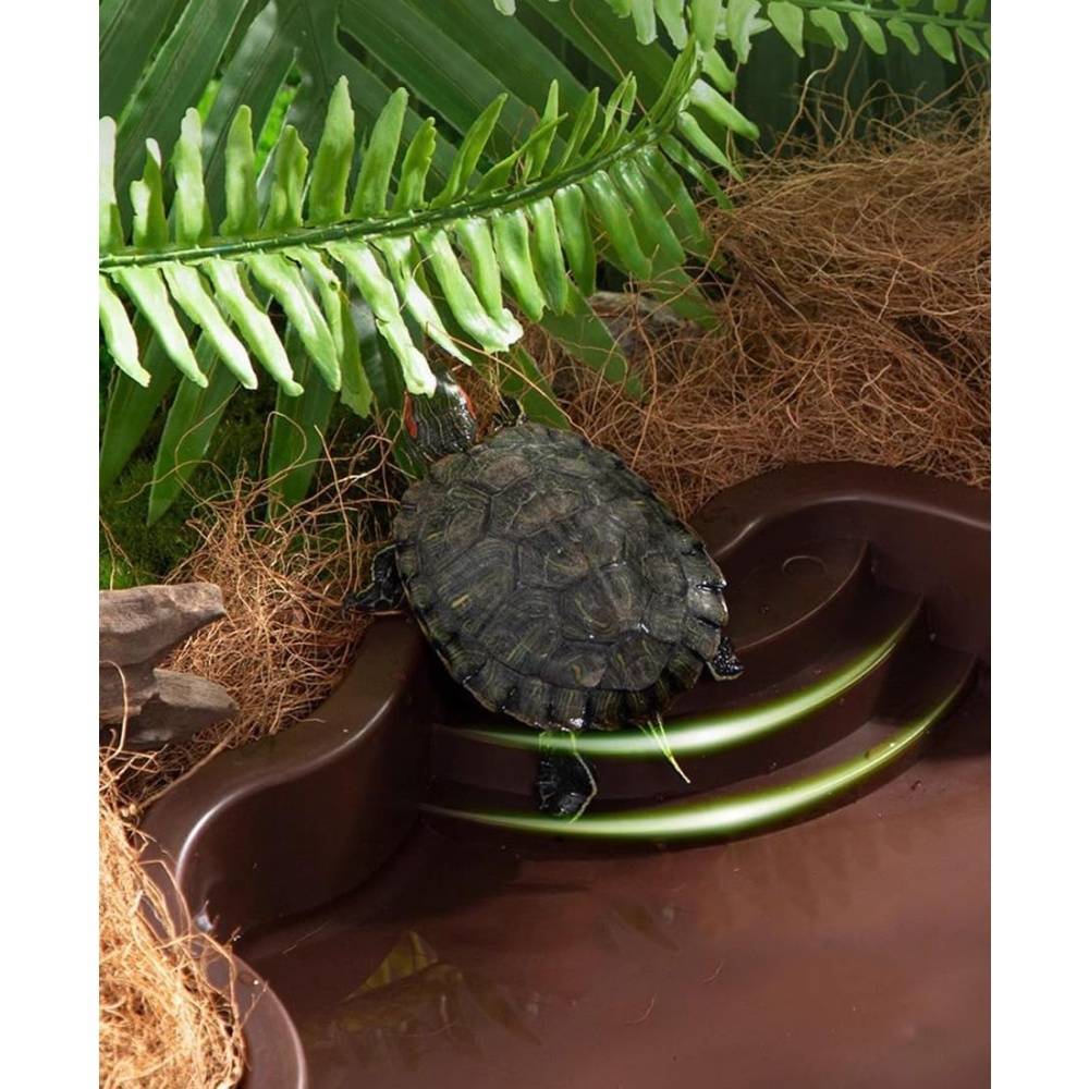 Baignoire et bac d'alimentation pour reptiles aquatiques et grimpants DtopbuyAge - Image 2