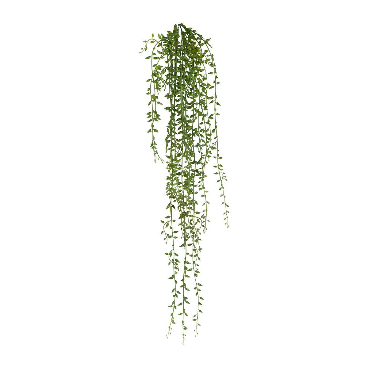 Artificielles - Chute de senecio artificiel Longueur 72 cm plastique - Imagen 2