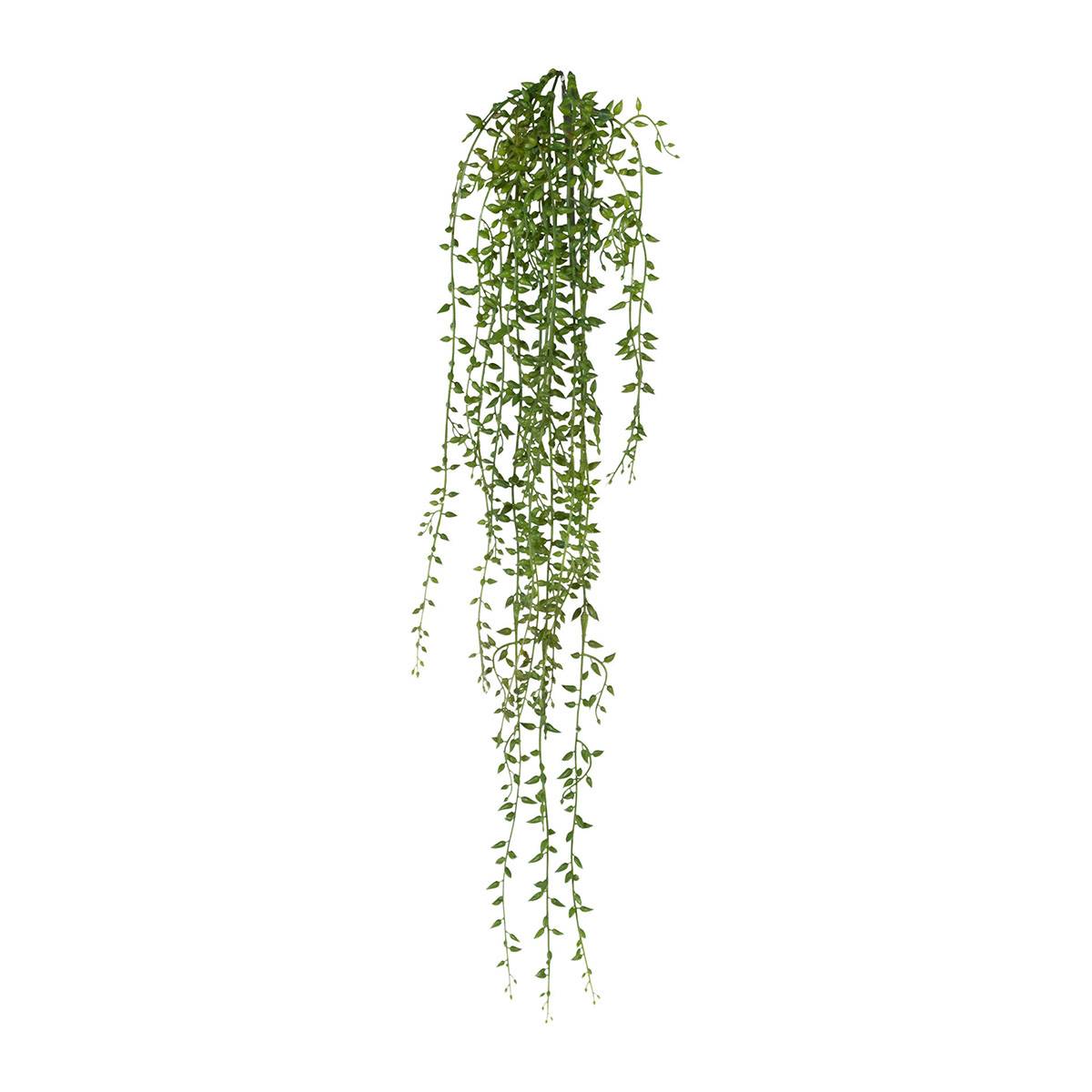 Artificielles - Chute de senecio artificiel Longueur 72 cm plastique - Imagen 1