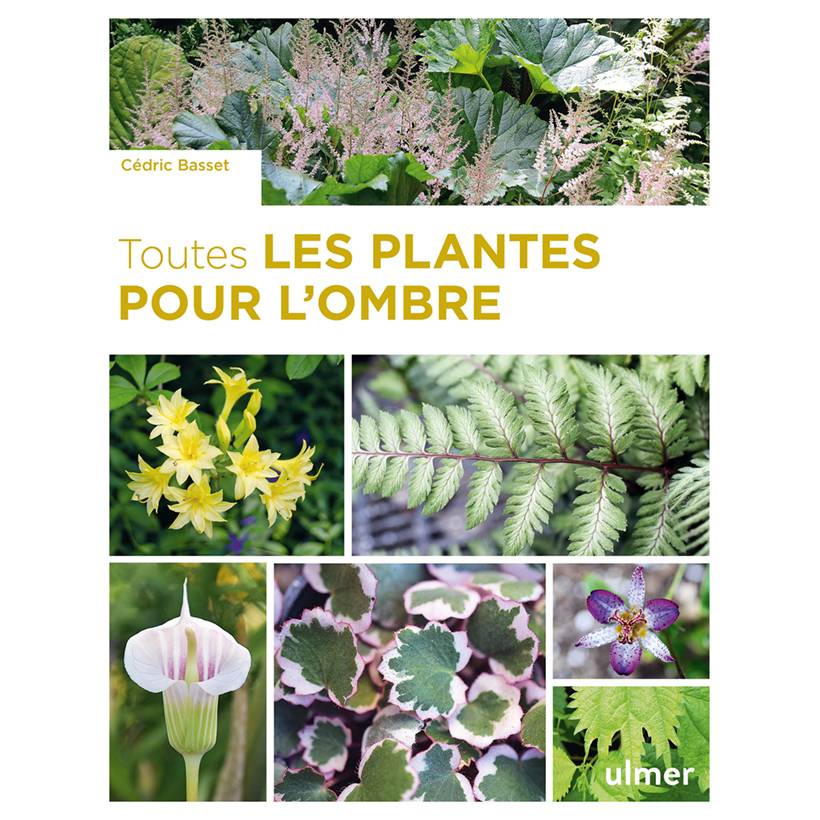 Promesse de Fleurs - Toutes les plantes pour l'ombre