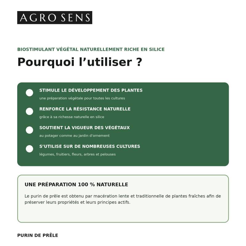 Purin de prêle à base de plantes fraîches, concentré à diluer - 5 Litres - Image 2