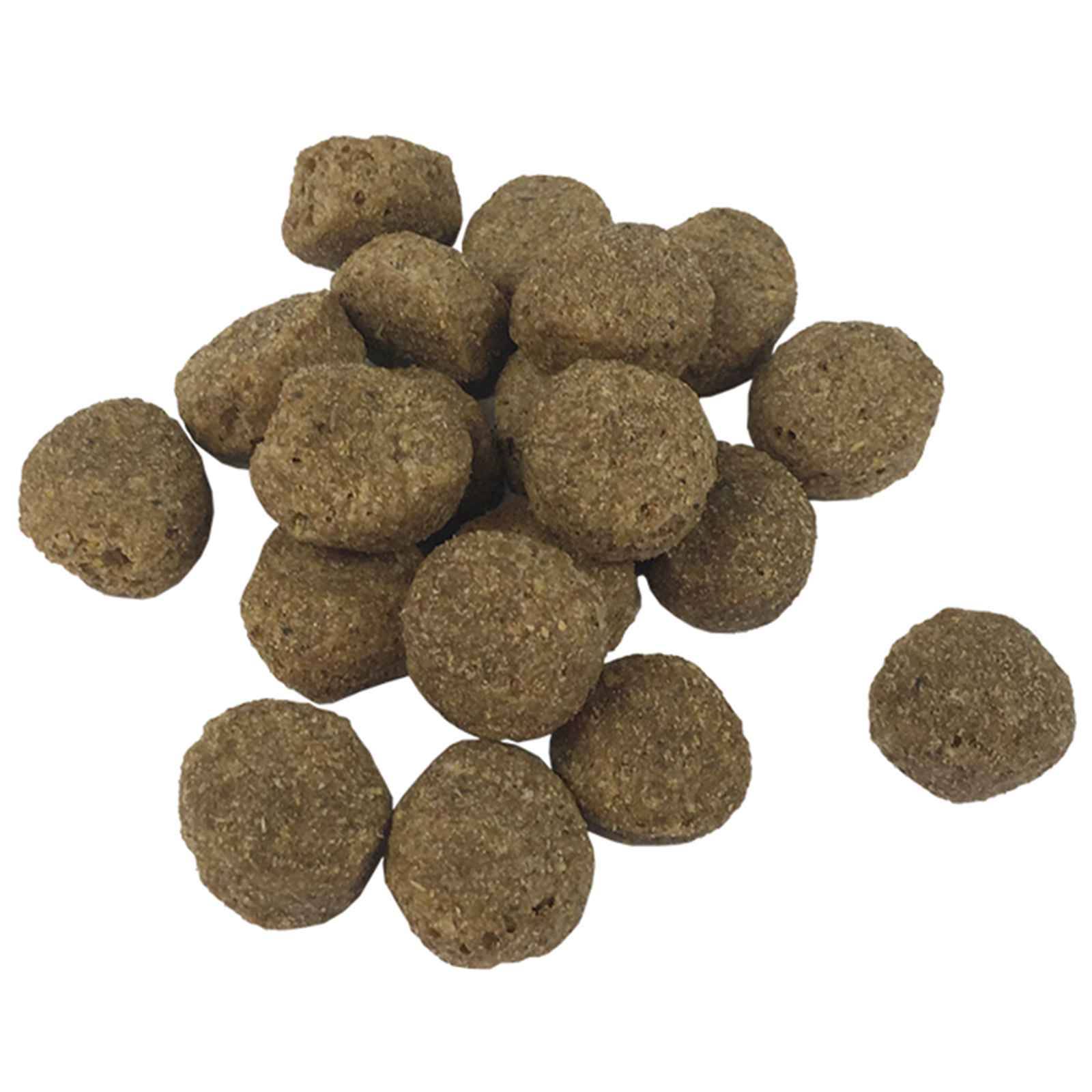 Vidaxl - Support de nourriture et bol avec nourriture pour chien vidaXL 3053507 - Image 8