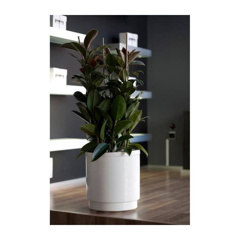 Plastiken Pot De Fleurs A Réserve D'eau Hidrojardinera - ø38 Cm - Blanc - Imagen 2