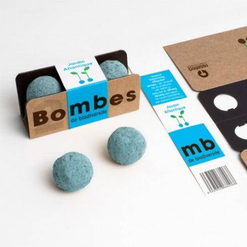 Bombes de biodiversité - Jardin Atlantique - Imagen 4