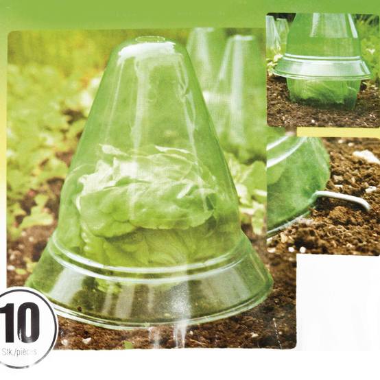 Windhager - Cloche pour plants 10pcs - Image 3