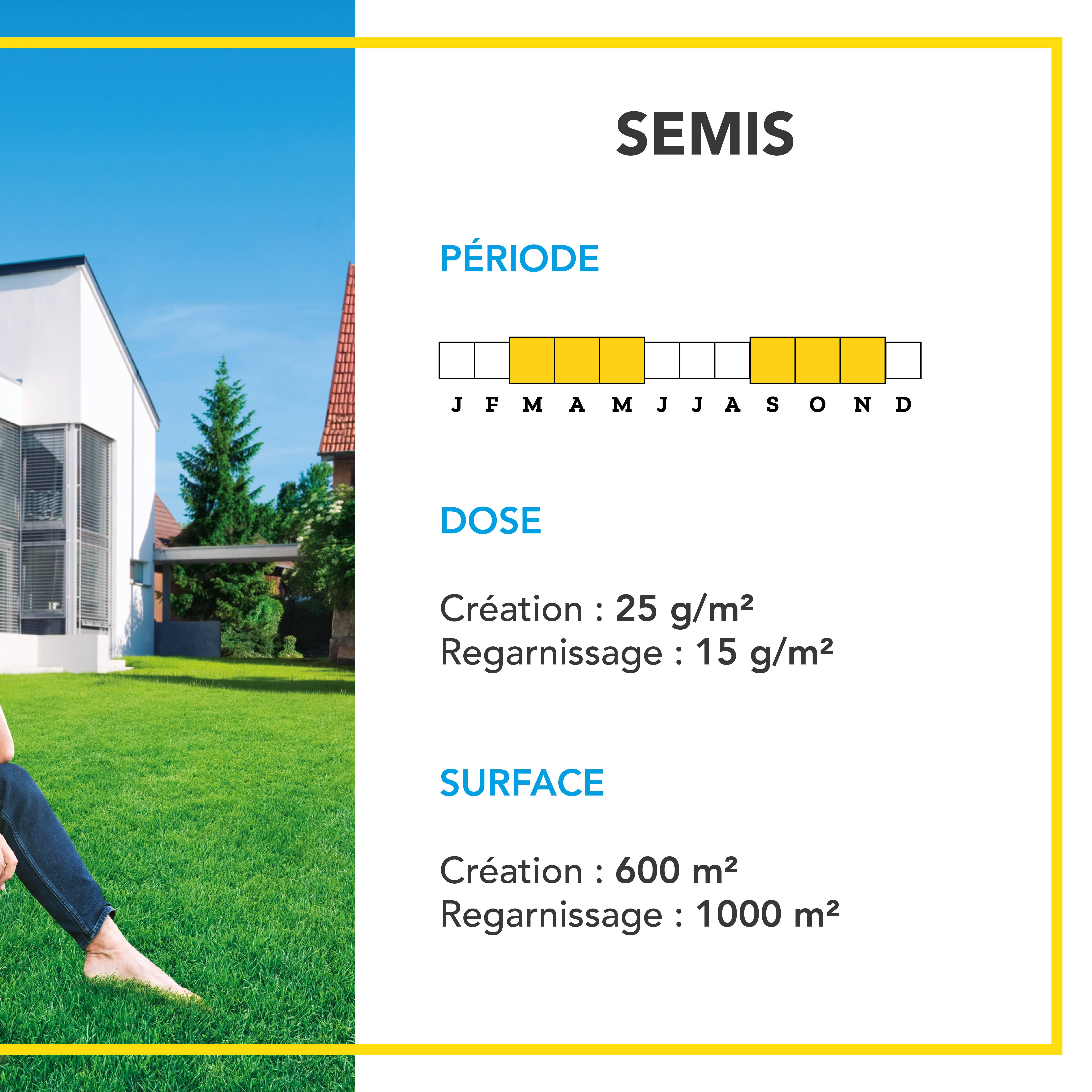 Gazon Anglais et Ultra dense - Aspect Prestigieux Parcs Anglais - Tapis Dense Effet velours - Densité Extrême - 15KG - BARENBRUG - Image 4